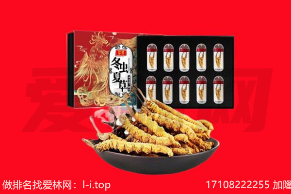 涡阳县回收虫草.jpg